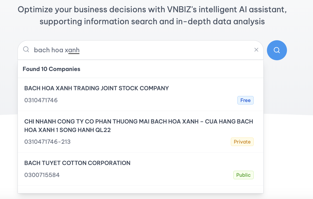 VNBIZ AI Assistant Interface